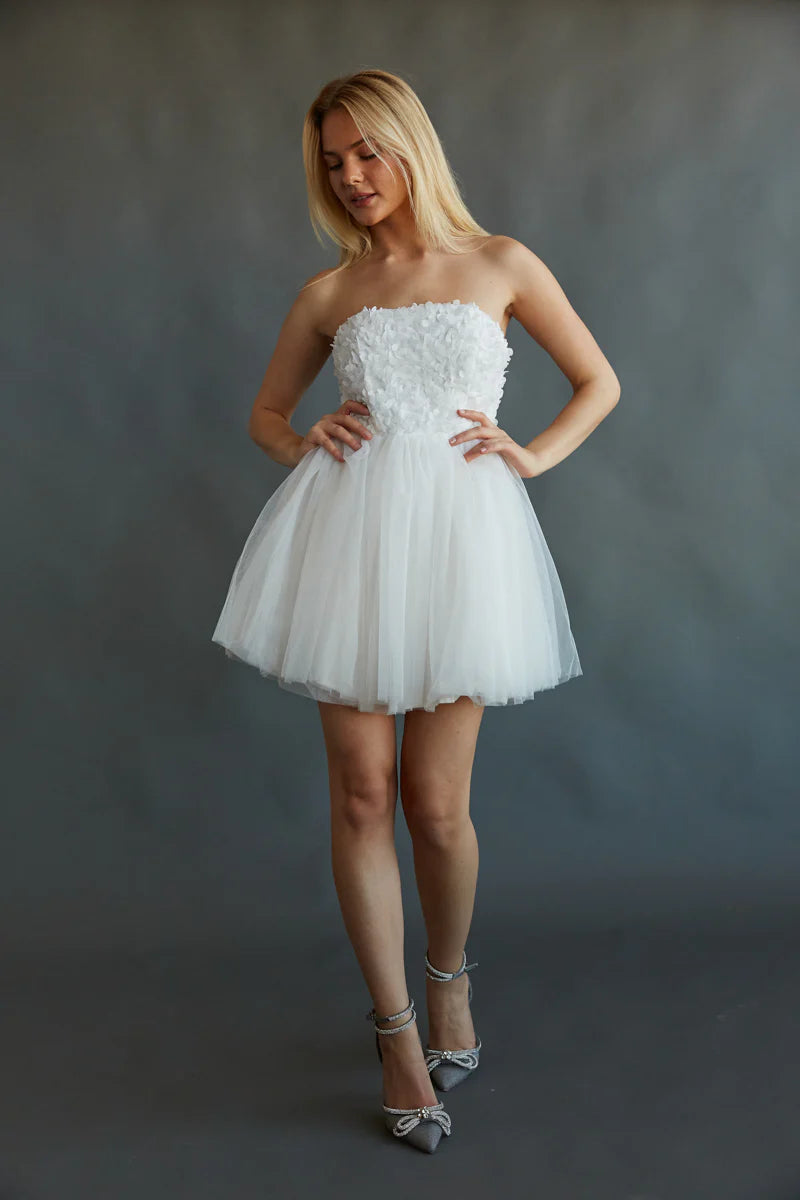 Grace Floral Applique Tulle Babydoll Mini Dress